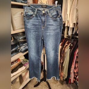 Judy Blue Skinny Jeans Classic Blue